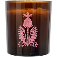 The Quiet Botanist Orchard Sun Scented Candle (14 oz)