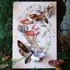 Moth & Myth Forage Moth & Mushroom Set (3 pcs) shown on card backing