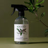 Koala Eco Natural Stainless Cleaner - product shown next to plant