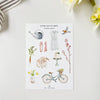 Emily Lex Studio Springtime Sticker Sheets - second product shown with flower