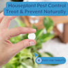 Instant Plant Food Plant Protection - Indoor & Houseplant Pest Control - model shown holding product tablet with infographics