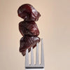 Le Prunier California Organic Dried Plums - products shown on fork