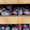 Le Prunier California Organic Dried Plums - multiple plums shown