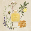 Santa Maria Novella Opoponax Eau de Cologne - product shown surrounded by fragrance ingredients
