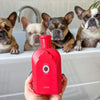 Artemis Leto 3-In-1 Dog Wash - model shown holding product in front of dogs