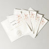 Ruhaku Gettou Enriched Sheet Mask - 5 individually packaged products shown stacked