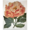 Carpe Diem Papers Pink Peony Fancy Die Cut Card (1 pc)