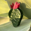 Winona Irene Nopal Succulent Cactus Claw - product shown on top of plant