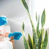 Instant Plant Food Simply the Best Micro-Fiber Gloves - model shown wearing products and watering plants