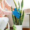 Instant Plant Food Simply the Best Micro-Fiber Gloves - model shown using products on plants