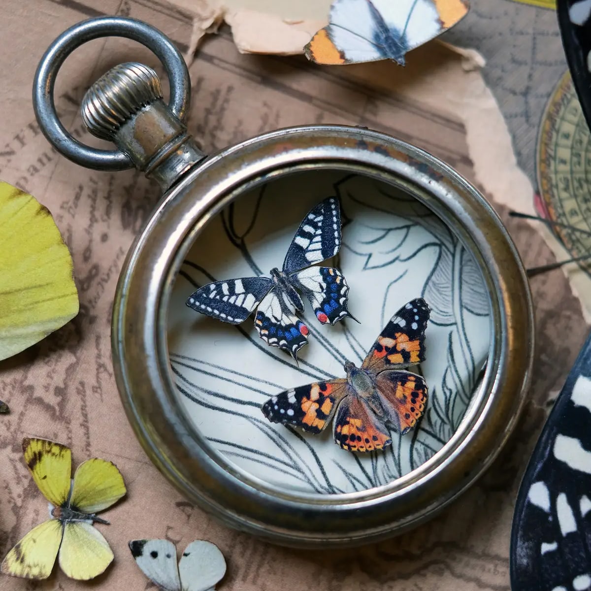 A decorative pocket watch with a few Moth & Myth North American Butterfly Micro Collection butterflies