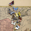 Moth & Myth North American Butterfly Micro Collection on an old map