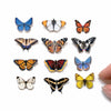 Moth & Myth North American Butterfly Micro Collection (12 pcs)