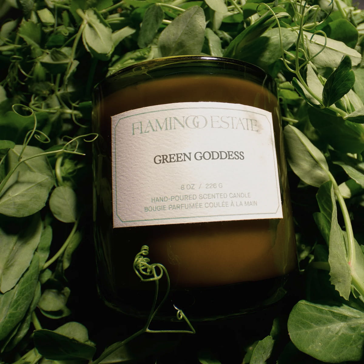 Flamingo Estate Green Goddess Candle (226 g) - product shown on top of folliage.