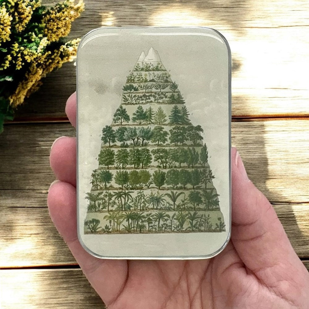 Firefly Notes Nature Meets Nostalgia - Large shown close up in hand of model