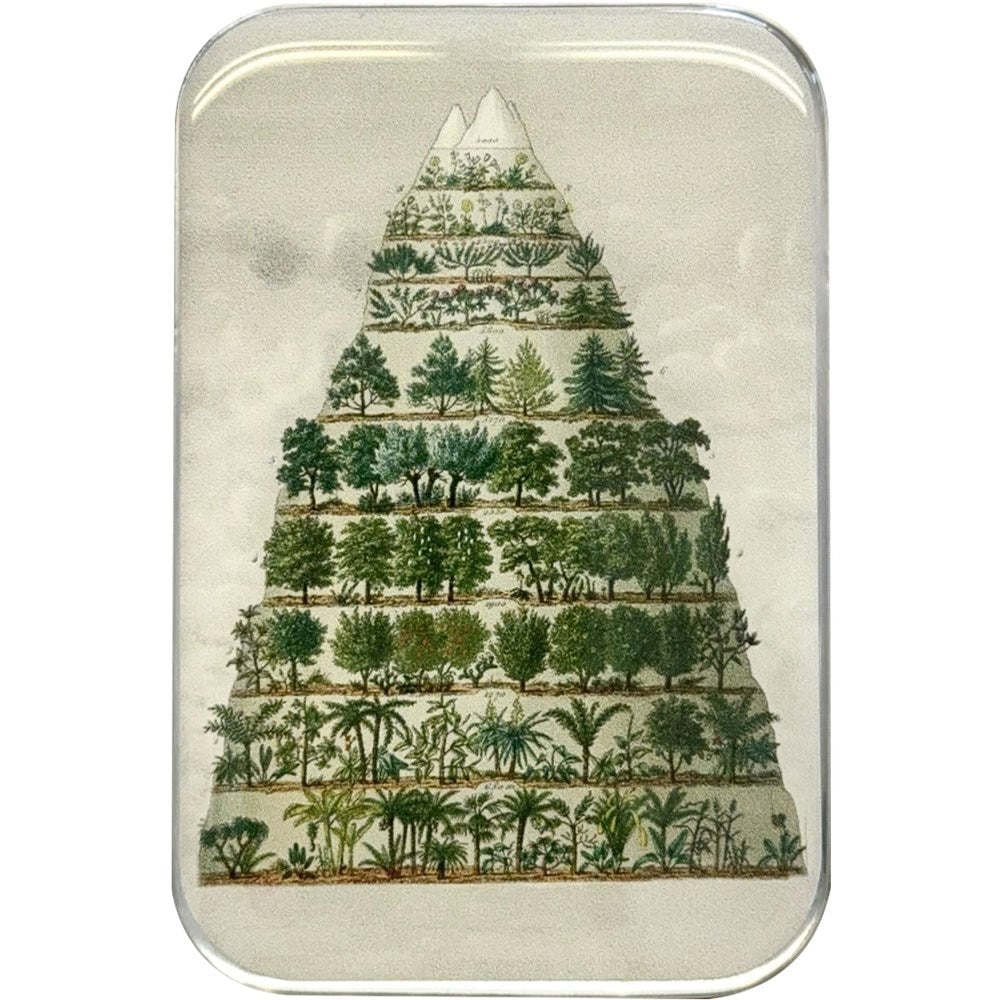 Firefly Notes Nature Meets Nostalgia - Large