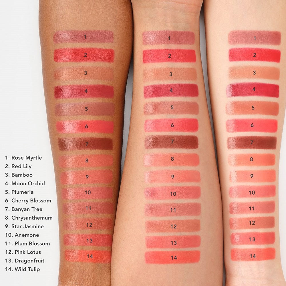 Chantecaille Lip Creme - Plumeria - color swatches shown on arms 