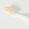 Close up of C.O. Bigelow Natural Bristle Toothbrush - Medium Ivory (1 pc)