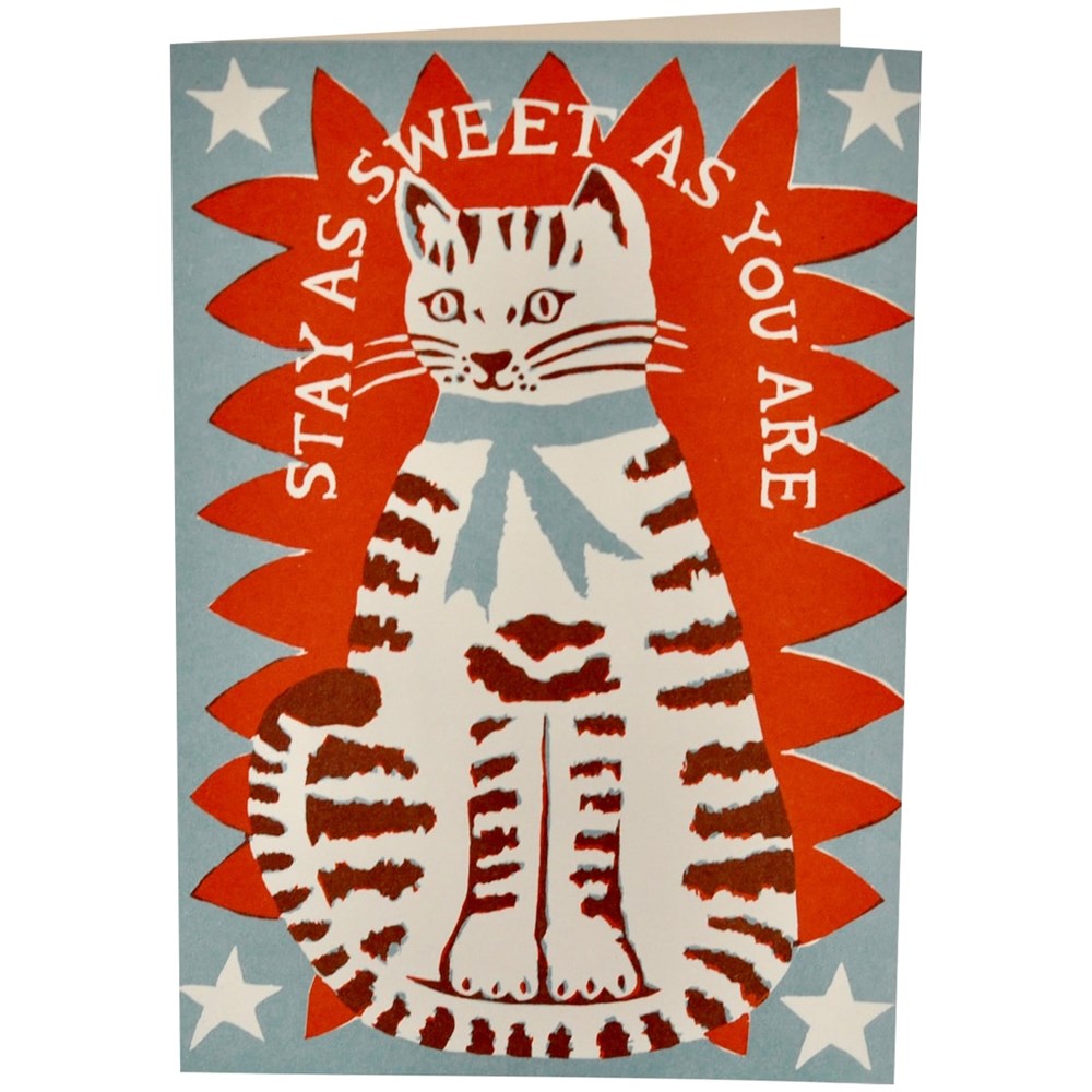 Cambridge Imprint Sweet Cat Card (1 pc)