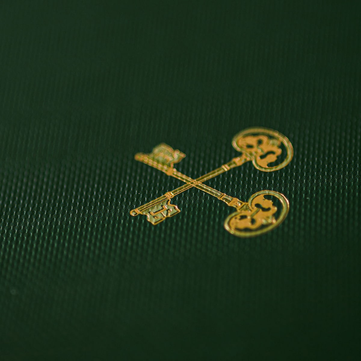 Good Juju Ink Moss Le Grand Livre Hardcover Notebook (1 pc) - Gold embellishment shown on front of product. 