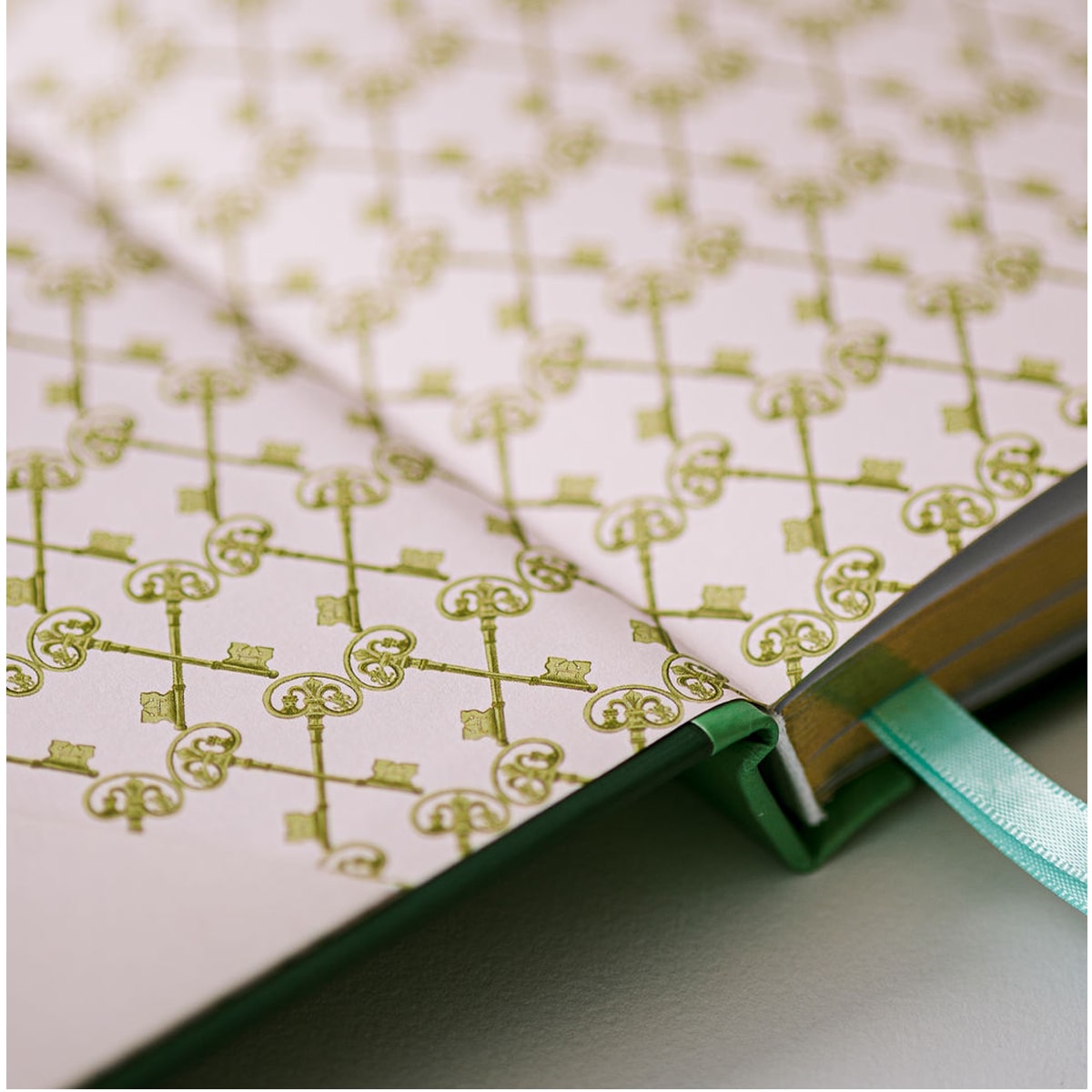 Good Juju Ink Moss Le Grand Livre Hardcover Notebook (1 pc) - Close up shown of products inside covers. 