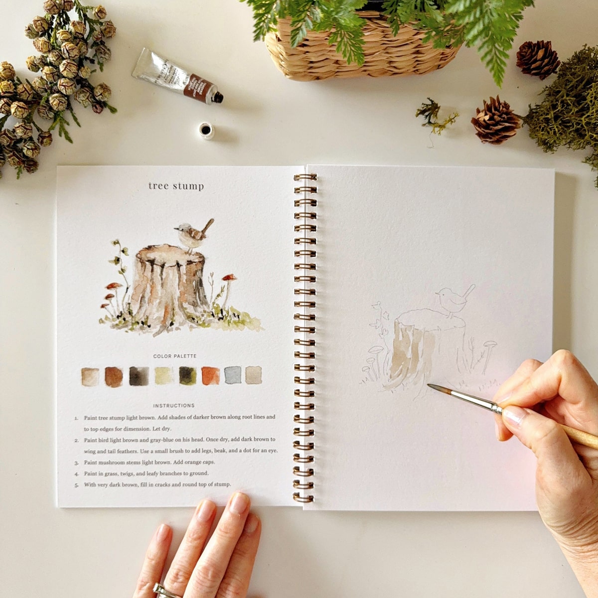 Emily Lex Studio Woodland Watercolor Workbook (1 pc) surrounded by decorative elements on a light surface.