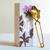 The Quiet Botanist Tea Steeper - Star Shape (1 pc) shown with box