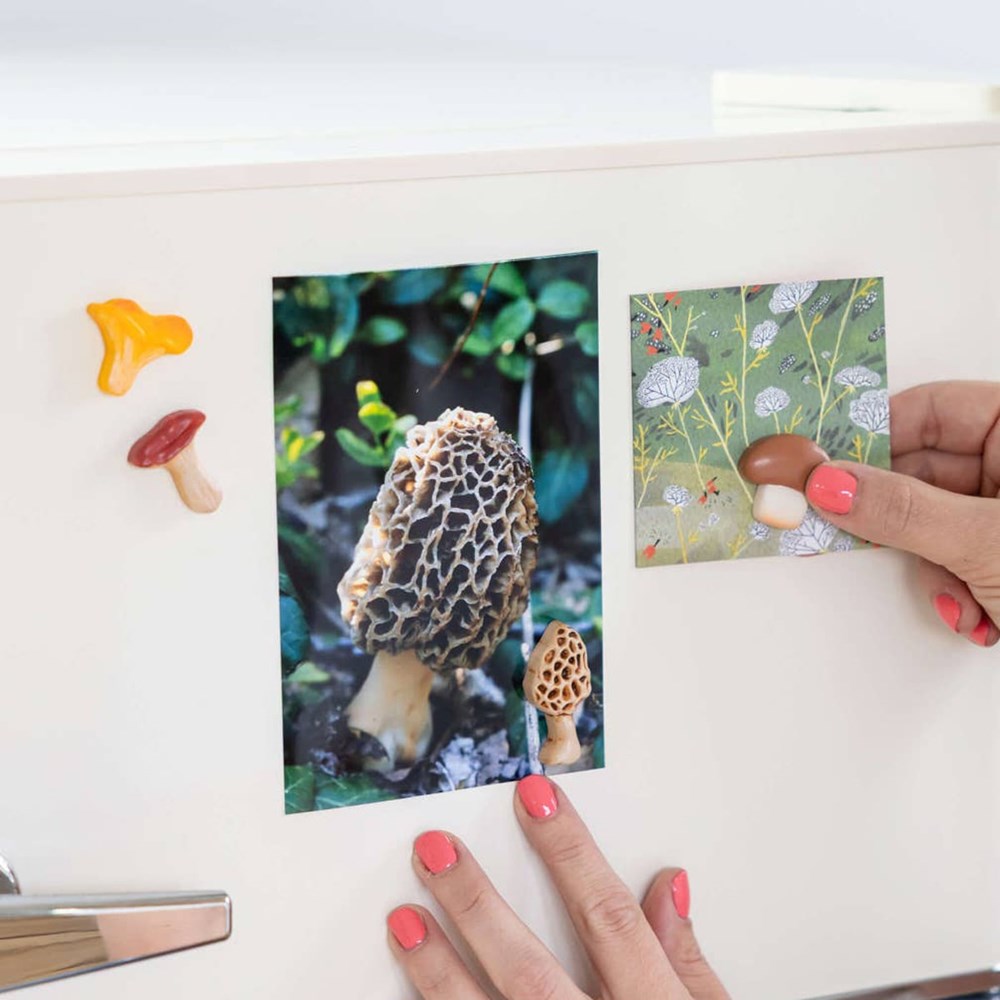 Three by Three Seattle Mushroom Magnets (4 pcs) - product shown on fridge. 