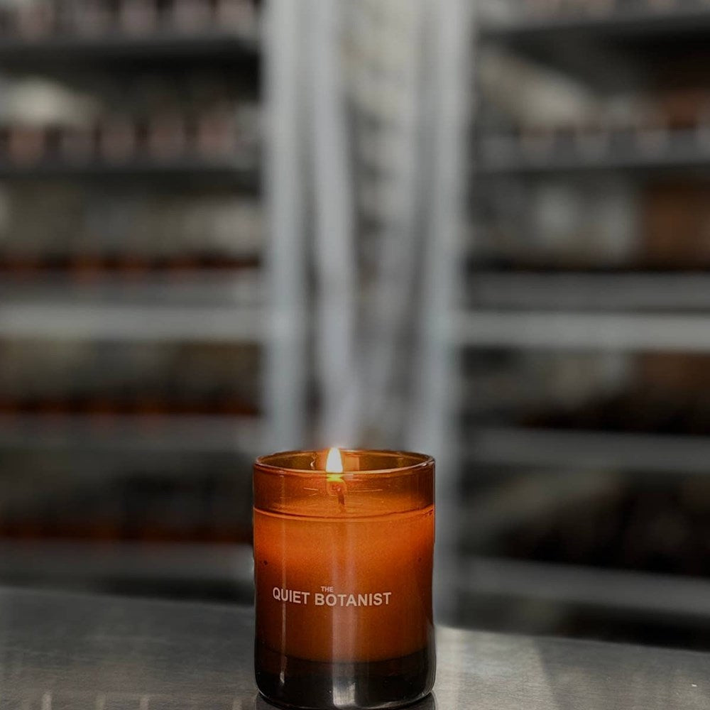 The Quiet Botanist In The Weeds Mini Candle (3 oz) - product shown lit on grey background. 