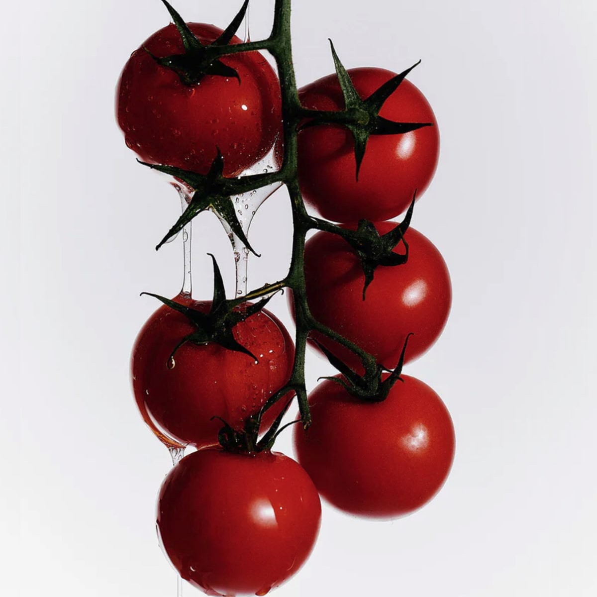 Flamingo Estate Organics Heirloom Tomato Hand Soap (355 ml) - Tomatoes shown on vine. 