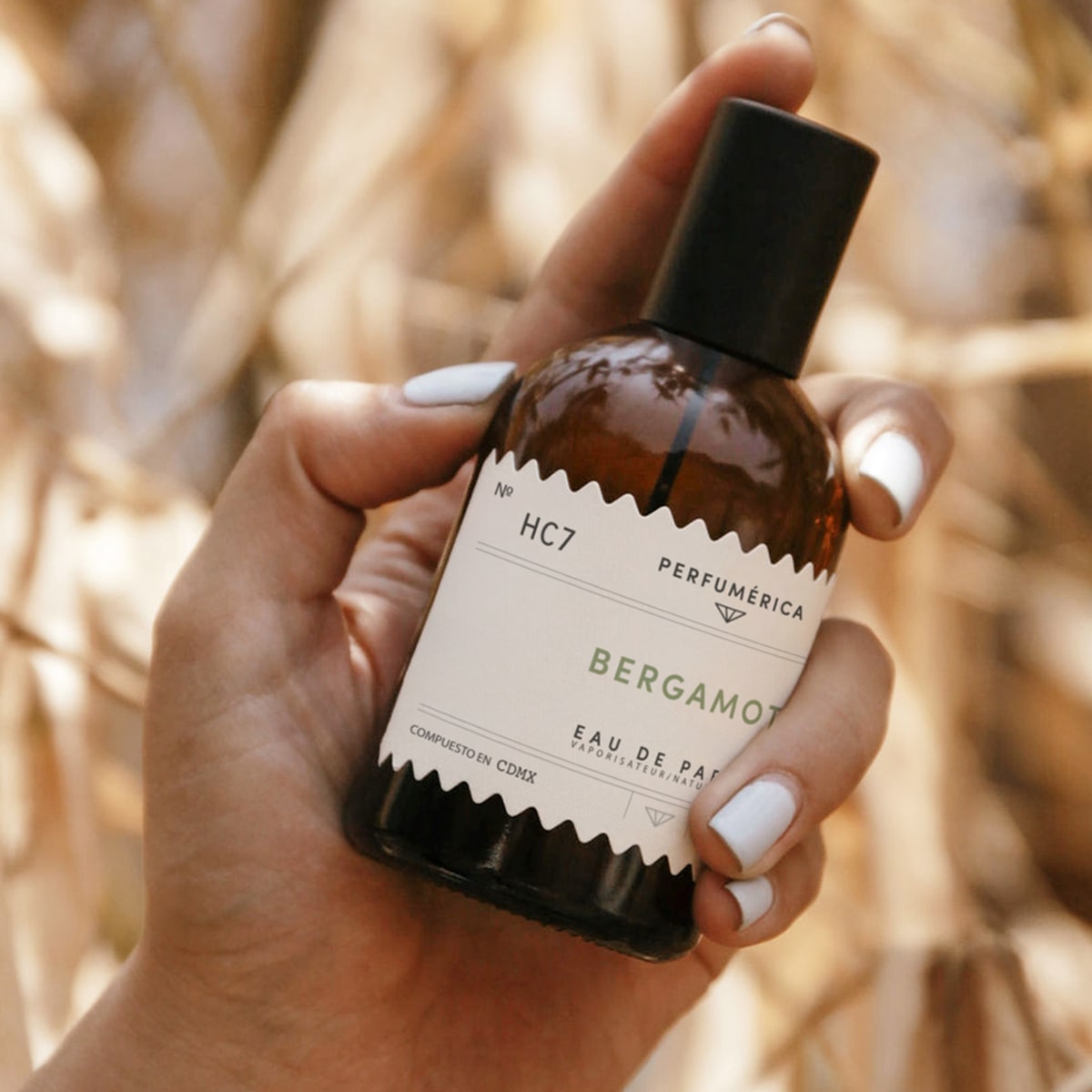 Perfumerica Bergamota Eau de Parfum (120 ml) - product shown being held.