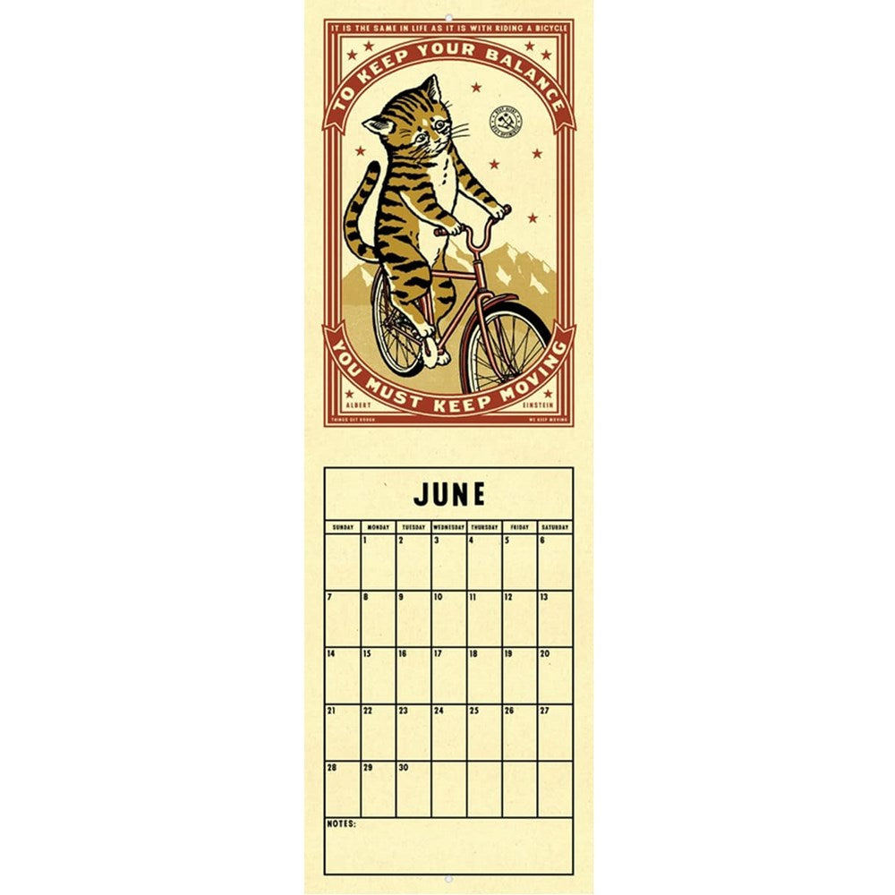 Ravi Zupa Arts Complicated Friendships Cat 2026 Calendar (the month of June shown)