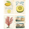 John Derian Paper Goods John Derian Sticker Book II (320 pgs) - Pages showing collection of vintage illustrations including a lemon, kiwi fruit, red seaweed, and ships on water.