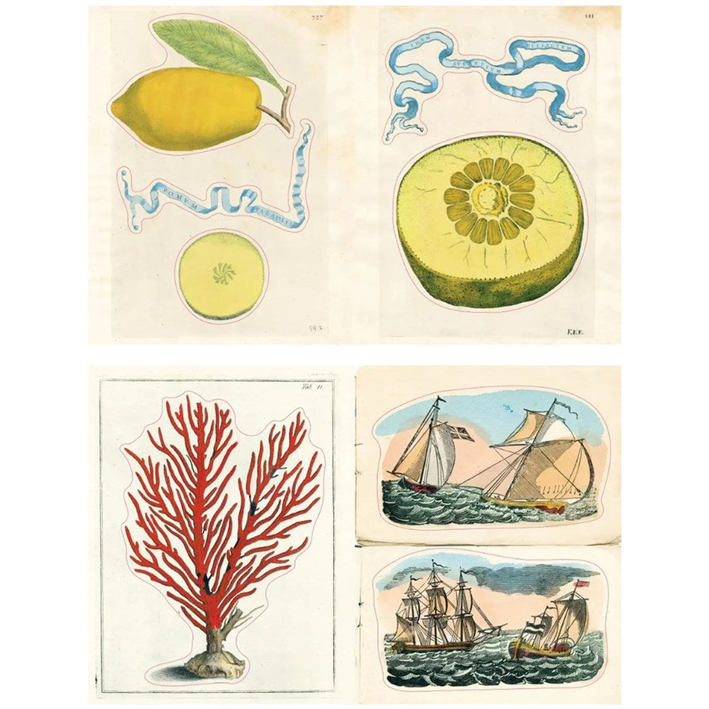 John Derian Paper Goods John Derian Sticker Book II (320 pgs) - Pages showing collection of vintage illustrations including a lemon, kiwi fruit, red seaweed, and ships on water.