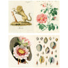 John Derian Paper Goods John Derian Sticker Book II (320 pgs) - pages showing set of vintage-style illustrations including a lion, flowers, and shells on a white background.