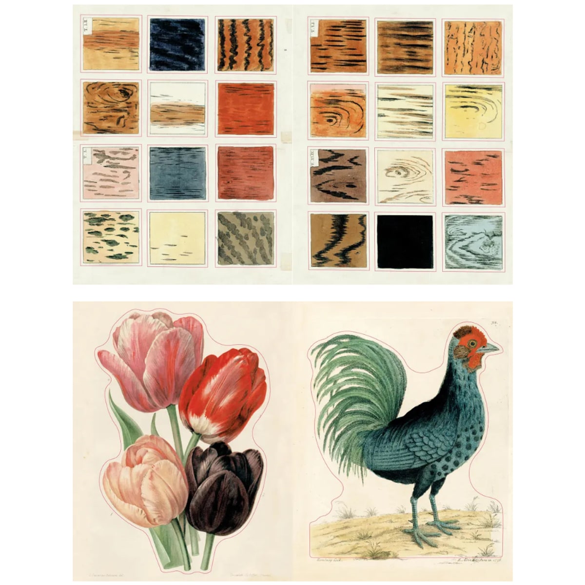 John Derian Paper Goods John Derian Sticker Book II (320 pgs