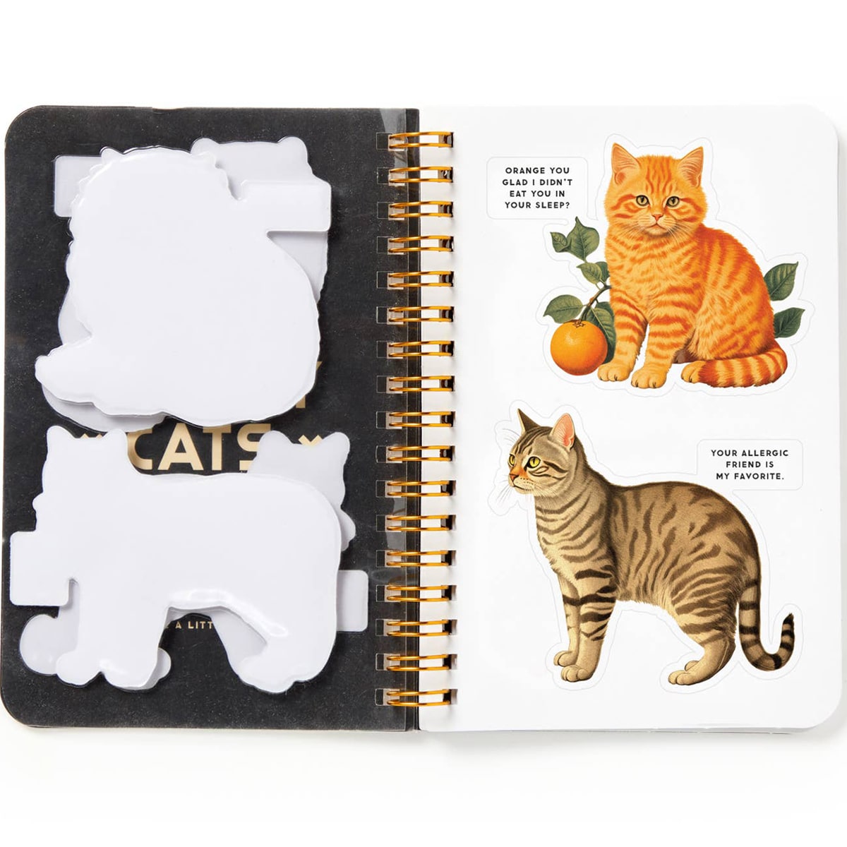 Interior page of Chronicle Books Brass Monkey Moody Cats Sticker Book