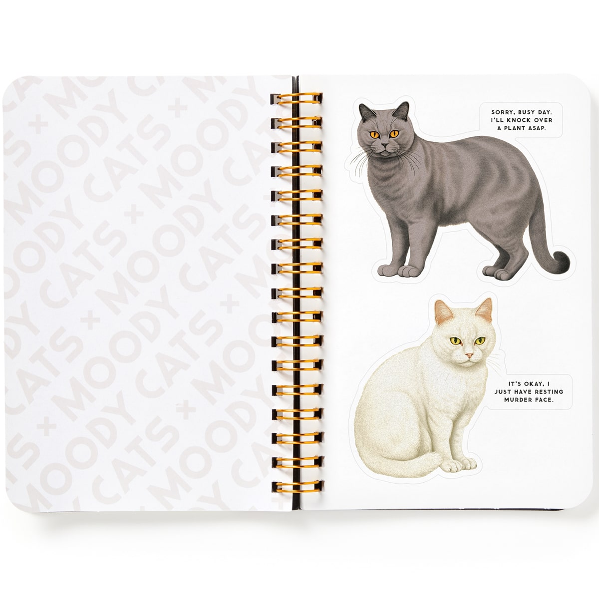 Interior page of Chronicle Books Brass Monkey Moody Cats Sticker Book