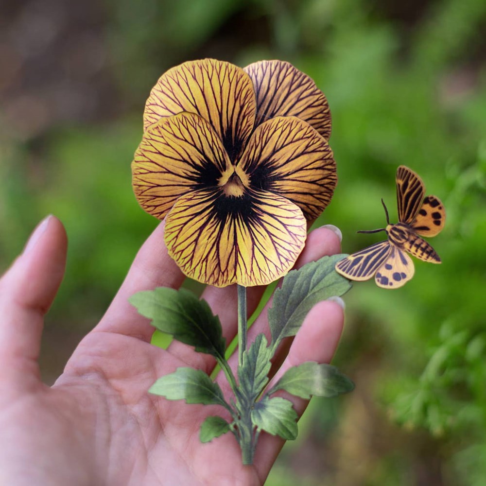 Moth & Myth Little Virgin Tiger Moth & Tiger Eye Viola Set (4 pcs) - product shown being held.
