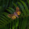 Little Virgin Tiger Moth & Tiger Eye Viola Set