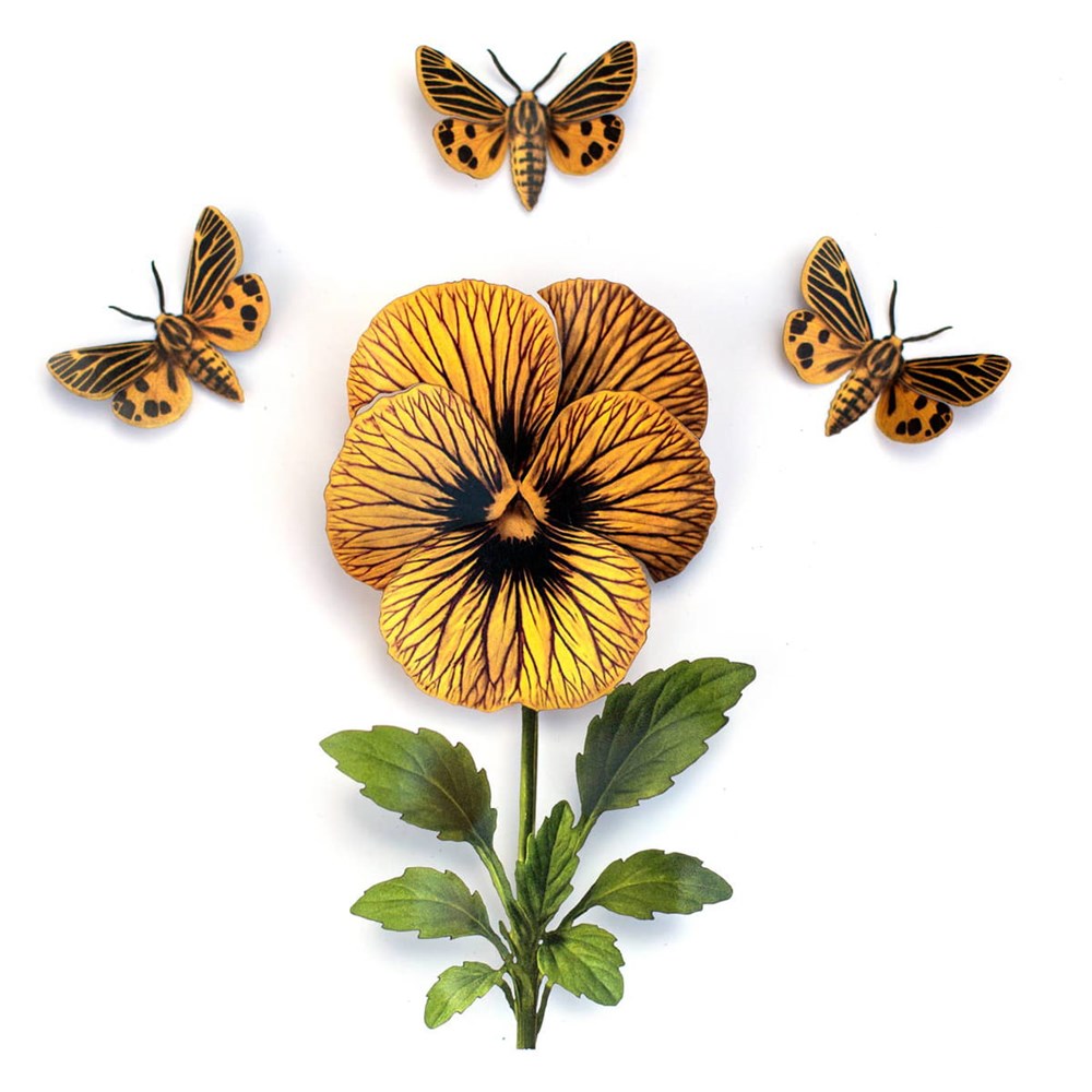 Moth & Myth Little Virgin Tiger Moth & Tiger Eye Viola Set (4 pcs)