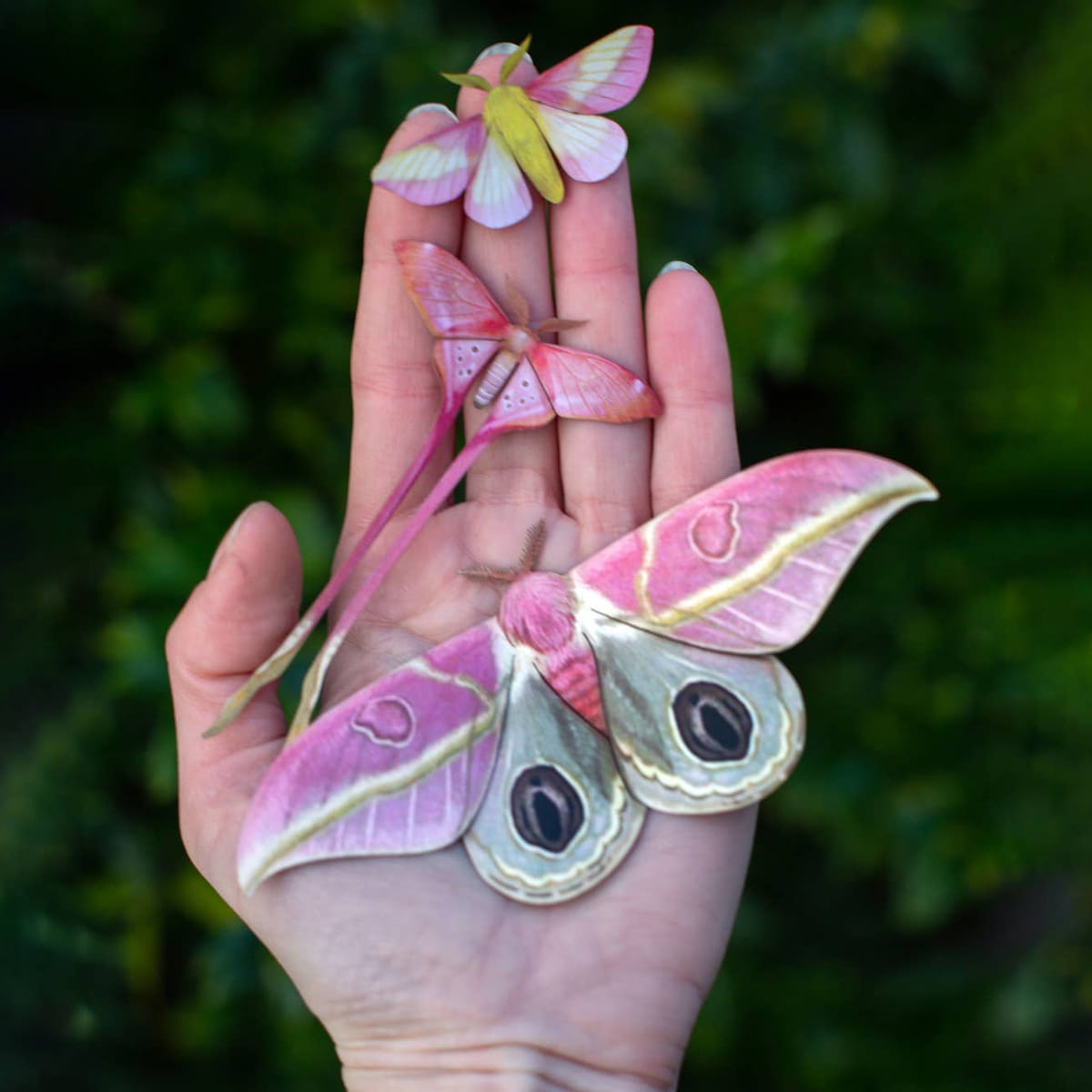 Moth & Myth Blush Pink Moth Set (3 pcs) - product shown in someones hand. 