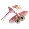 Blush Pink Moth Set