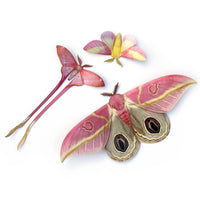 Moth & Myth Blush Pink Moth Set (3 pcs)