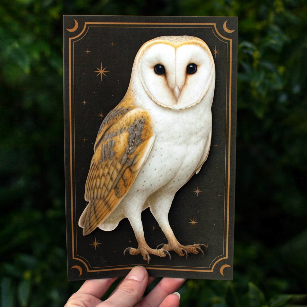 Moth & Myth Large Paper Barn Owl (1 pc) - product shown in packaging on green background.