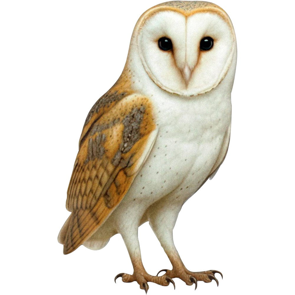 Moth & Myth Large Paper Barn Owl (1 pc)