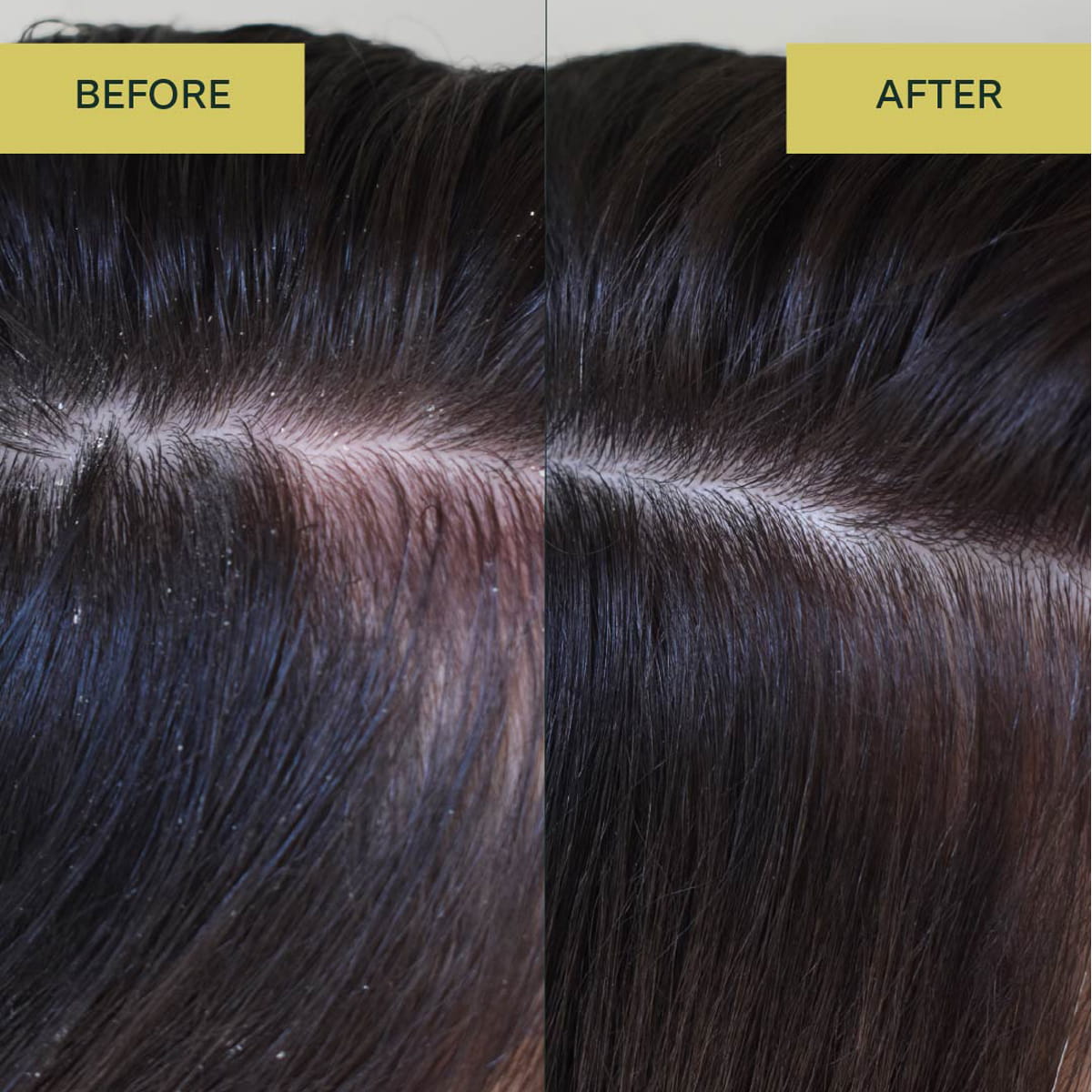 Rahua Aloe Vera Shampoo (275 ml) - product before and afters shown. 