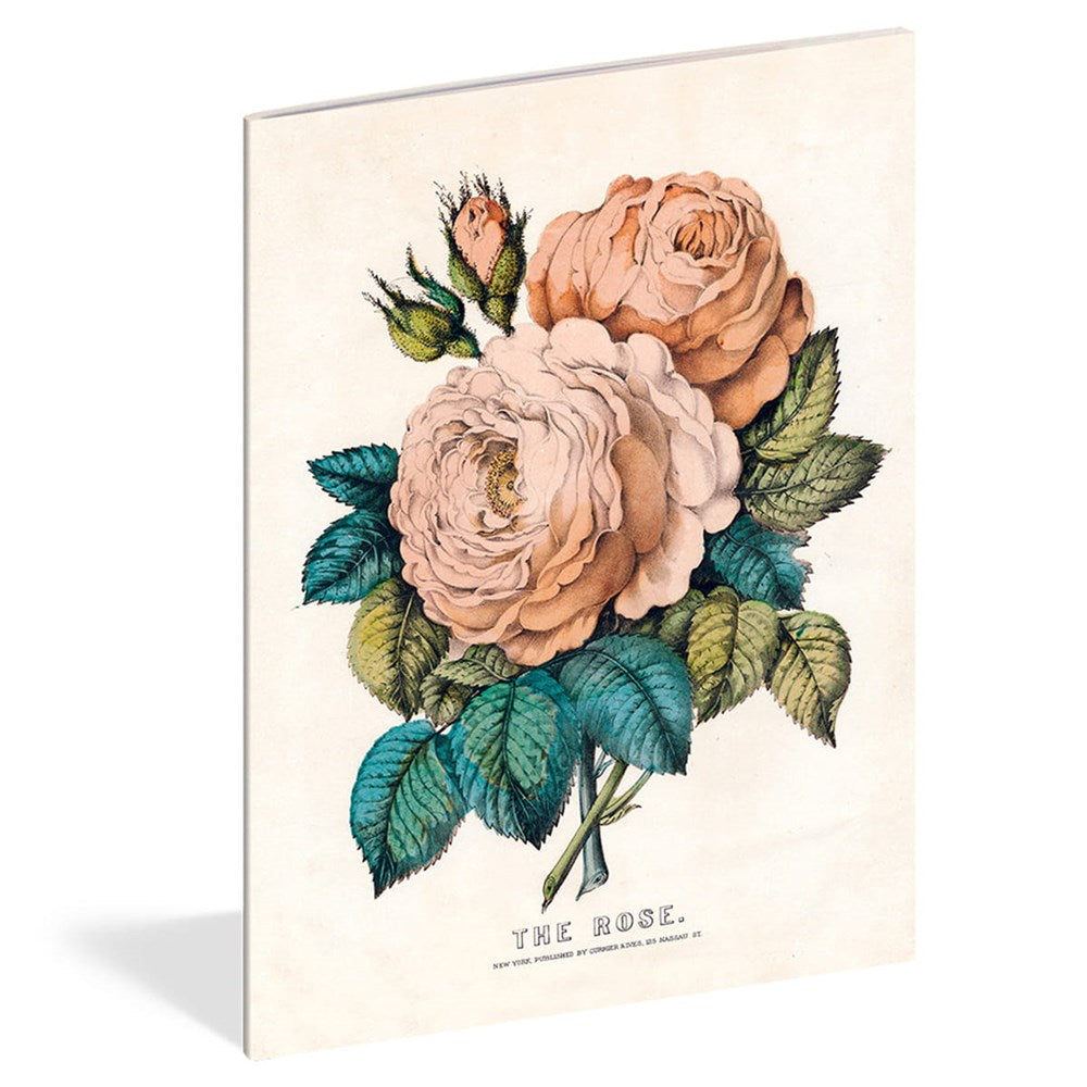 John Derian Paper Goods Everything Roses Notebook Set (3 pcs) - product shown on white background. 
