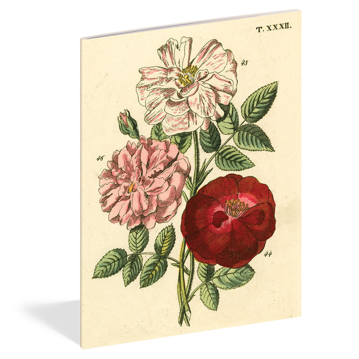 John Derian Paper Goods Everything Roses Notebook Set (3 pcs) - product shown on white background. 