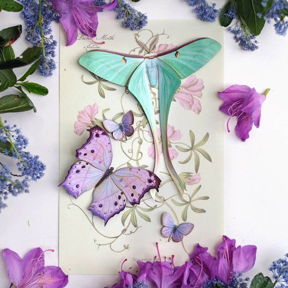 Moth &amp; Myth Hyacinth Moth Set (4 pcs) - product shown in packaging on white counter with colorful flowers. 